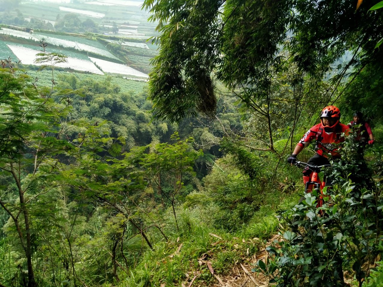 Trek Sindoro Sumbing